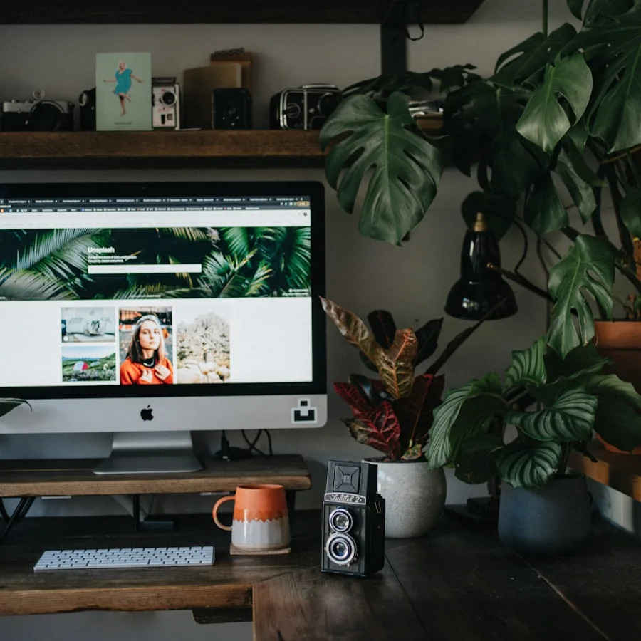 black flat screen tv turned on near green potted plant